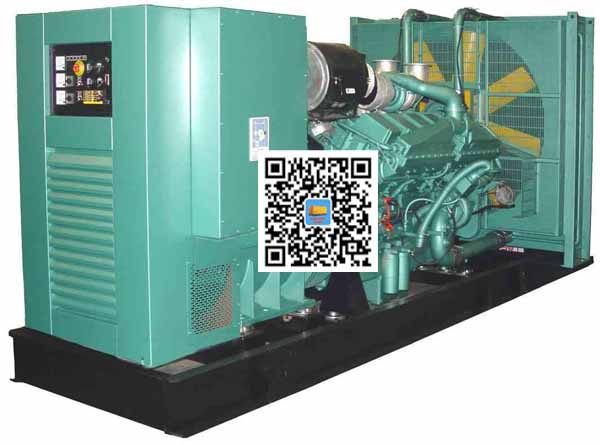 兴隆笼型异步发电机的电力电子控制技术